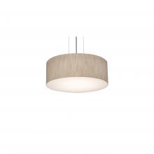 AFX Lighting, Inc. ANP1214LAJUDBK-JT - Anton 12&#39;&#39; LED Pendant - BK and JT