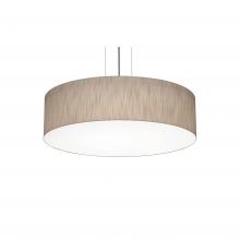 AFX Lighting, Inc. ANP1932LAJUDBK-JT - Anton 19&#39;&#39; LED Pendant - BK and JT