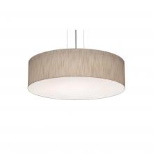 AFX Lighting, Inc. ANP1932MBSN-JT - Anton 19&#39;&#39; Med Base Pendant - SN and JT