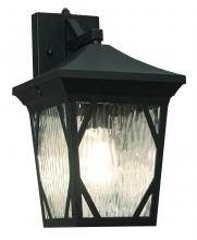 AFX Lighting, Inc. CAMW0814MBK - Campton 14&#34; Outdoor Lantern