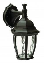 AFX Lighting, Inc. CLKW450L30BK - Clark 12&#34; LED Outdoor Lantern
