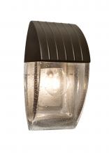 Besa Lighting AQUACP-CL-BR - Costaluz Aqua Wall Sconce