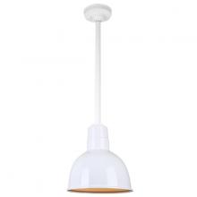 Hi-Lite MFG Co. H-QSN16110-SA-93/QSN24ST3-93/QSNHSC-93 - 10&#34; Ceiling Stem Light