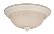 FLUSHMOUNT LIGHTING FIXTURES