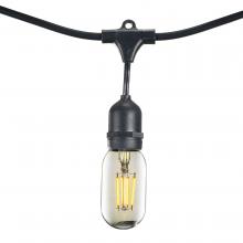 Bulbrite 810134 - STRING15/E26/BLACK-LED4T14KT