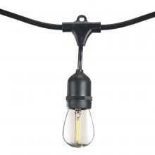 Bulbrite 810154 - STRING15/E26/BLACK-LEDS14KIT