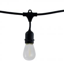 Bulbrite 810080 - STRING10/E26/BLACK-LEDS14F-KT