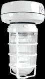 RAB Lighting VX1F13 - Vaporproof, 900 lumens, CFL, ceiling mount, 13W, QT, 1/2 inch, with Glass globe, cast guard