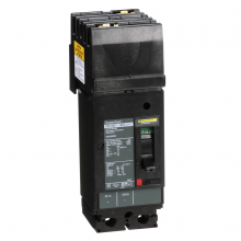 Schneider Electric HDA260202 - Circuit breaker, PowerPact H, 20A, 2 pole, 600VAC, 14kA, I-Line, thermal magnetic, 80%, AC