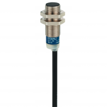 Schneider Electric XS612B1MAL2 - inductive sensor, XS6, M12, L53 mm, brass, Sensi