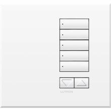 Lutron Electronics QSWE-5BRLN-AW - QSWE-WALLSTN 5BRL N/INS AW