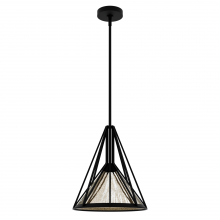 Hunter 19451 - Hunter Rafner Natural Black Iron with Mercury Glass Glass 1 Light Pendant Ceiling Light Fixture