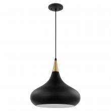 Nuvo 60/7514 - Phoenix; 1 Light; Medium Pendant; Matte Black with Burnished Brass