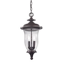 ELK Home 8002EH/75 - Thomas - Trinity 9&#39;&#39; Wide 2-Light Outdoor Pendant - Oil Rubbed Bronze