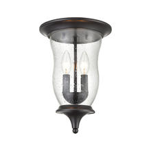 ELK Home 8002FM/75 - Thomas - Trinity 9&#39;&#39; Wide 2-Light Outdoor Flush Mount - Oil Rubbed Bronze