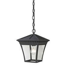 ELK Home 8411EH/65 - Thomas - Ridgewood 9&#39;&#39; Wide 1-Light Outdoor Pendant - Matte Textured Black