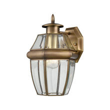 ELK Home 8601EW/89 - Thomas - Ashford 8'' High 1-Light Outdoor Sconce - Antique Brass