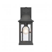 ELK Home 89602/1 - Triumph 14.5&#39;&#39; High 1-Light Outdoor Sconce - Textured Black